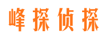 楚州市私家侦探